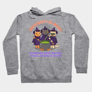 University of Magic / Kittens are great masters of magic / Halloween Hoodie